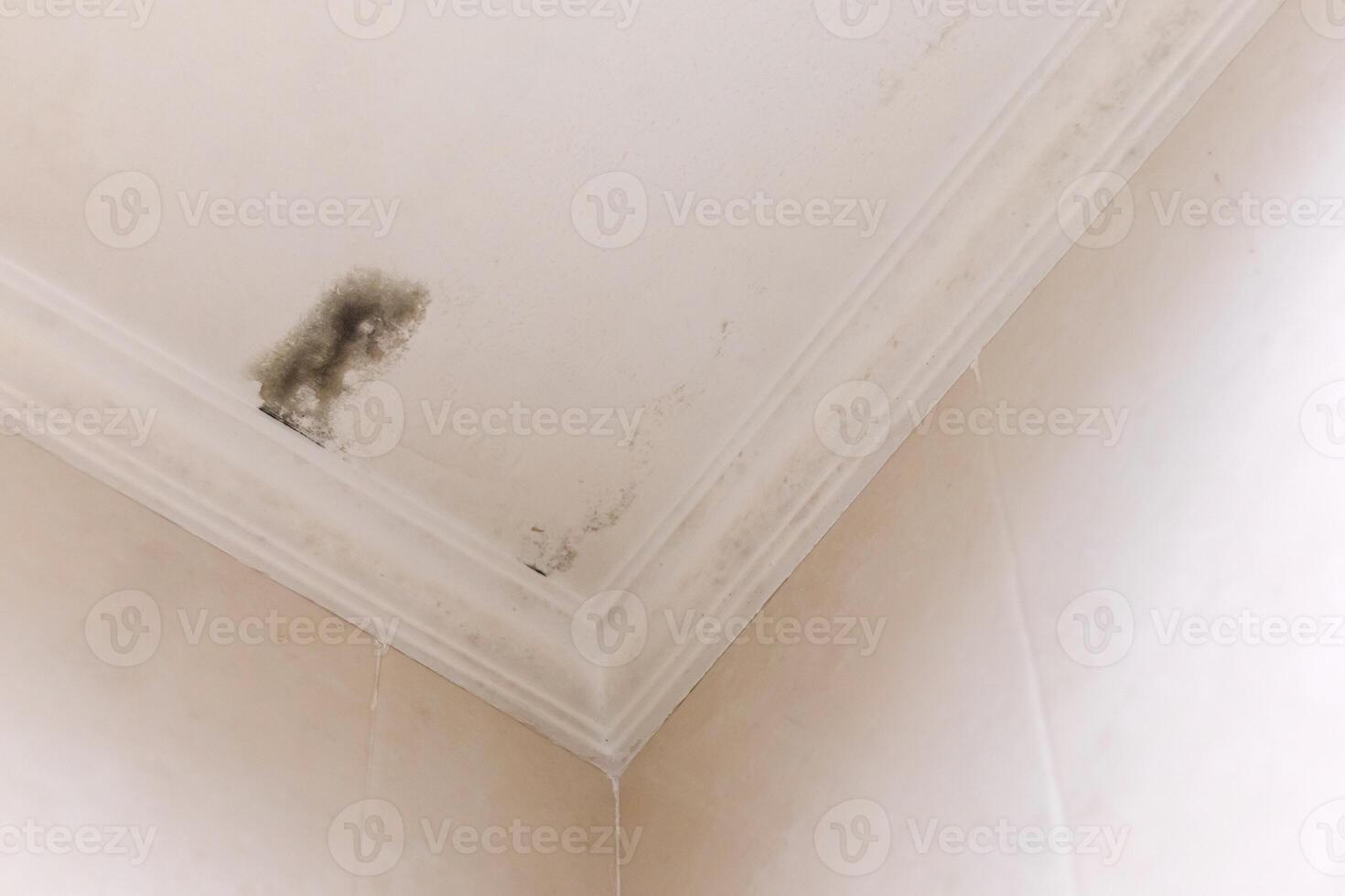 Damp and moldy ceiling in a room photo