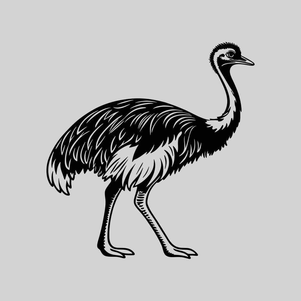 Hand Drawn Emu Silhouette Art vector