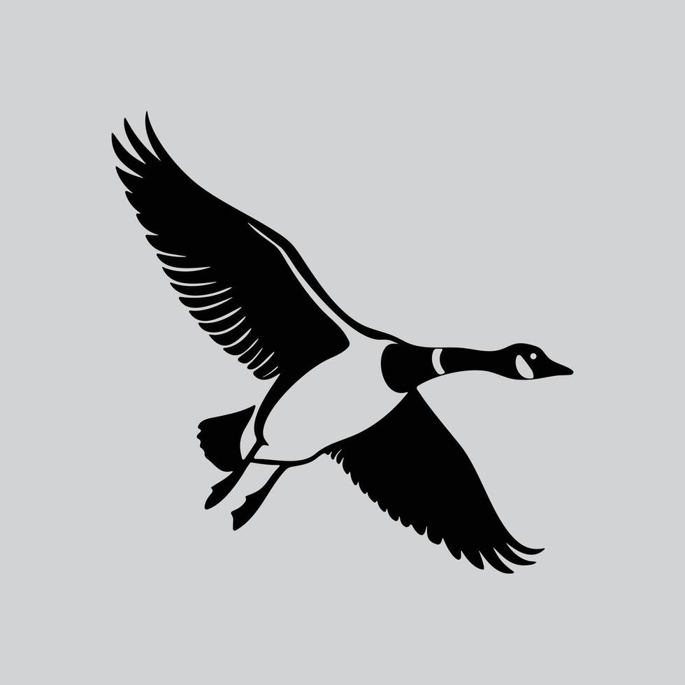 Canada Goose in Flight Art vector