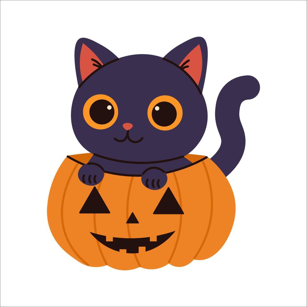 Adorable black cat sitting inside a carved Halloween pumpkin, perfect for seasonal illustrations, party designs, greeting cards, and cute spooky-themed decorations. vector