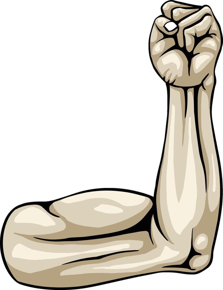 A strong arm showing its biceps muscle illustration vector