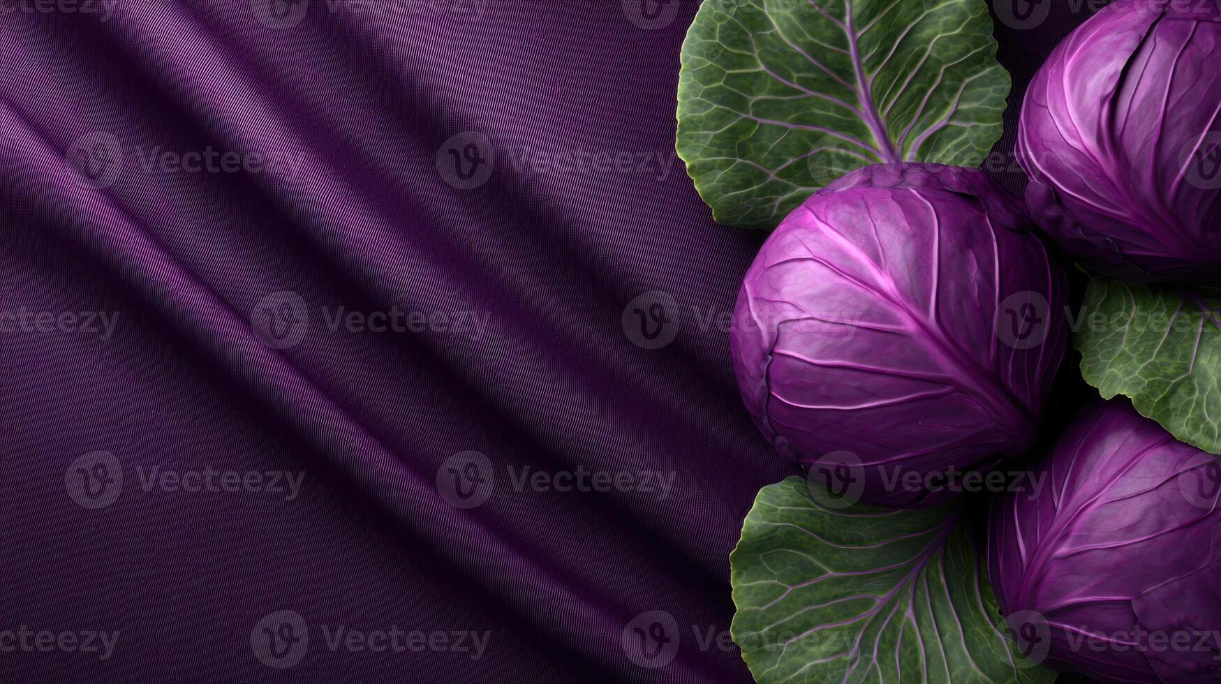 Striking purple cabbage trio against a textured violet backdrop creates an intriguing visual with contrasting colors and textures photo