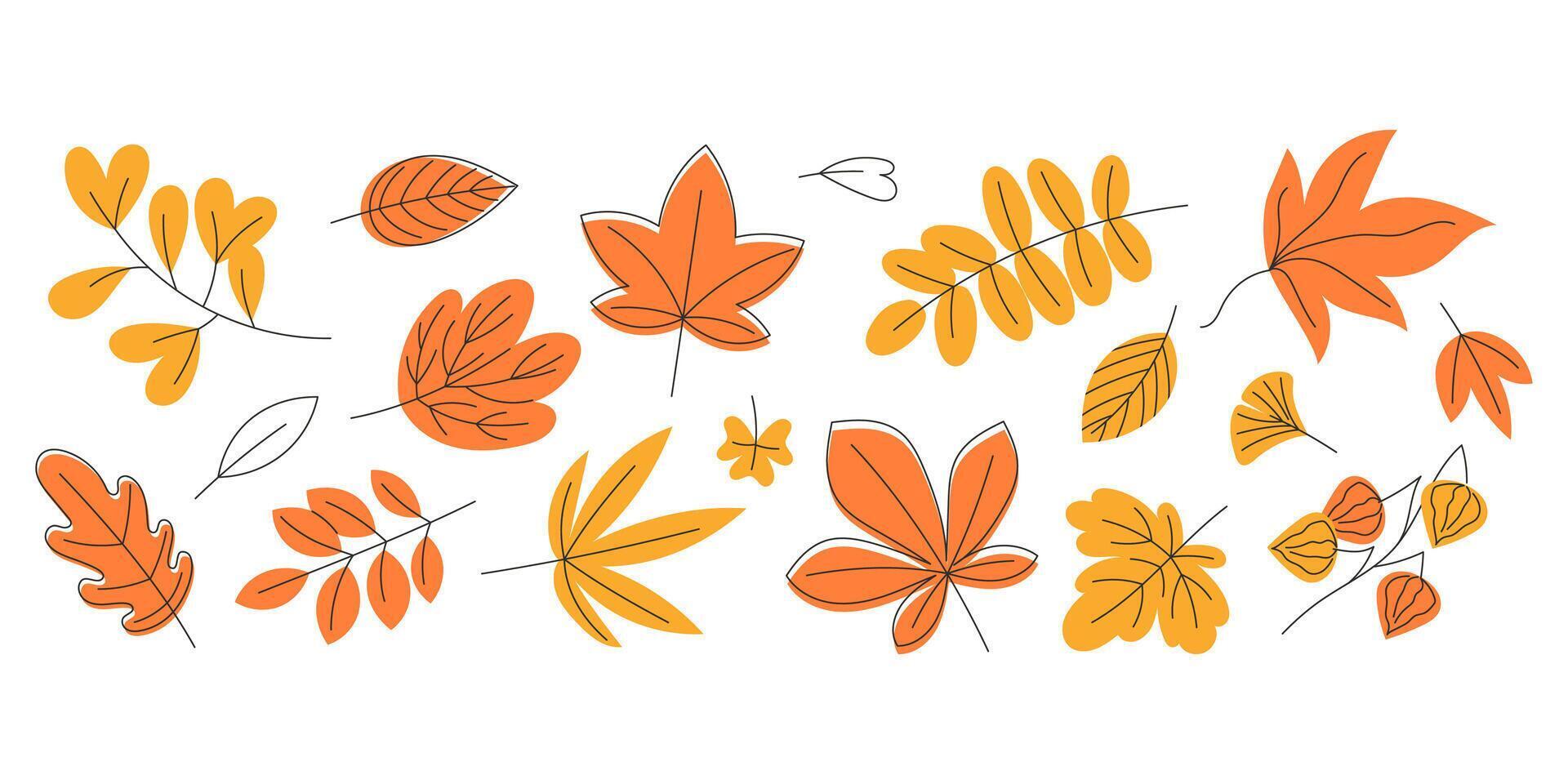 Set of Yellow and Orange Autumn Leaves in Flat Style. Ideal for Greeting Cards and Posters Design vector
