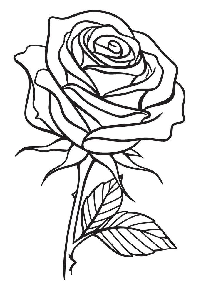 Fine rose lines, simple rose flower sketch, artistic rose vector