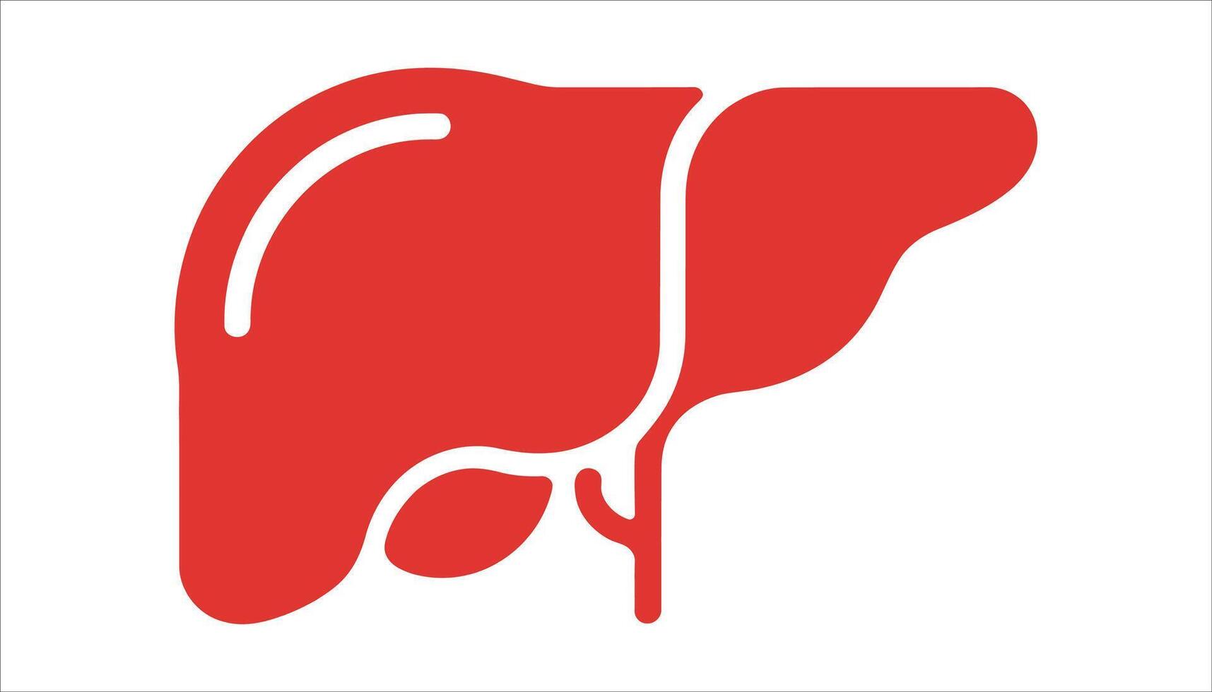 Red Liver Icon in Flat Design for Health and Medical Concepts vector
