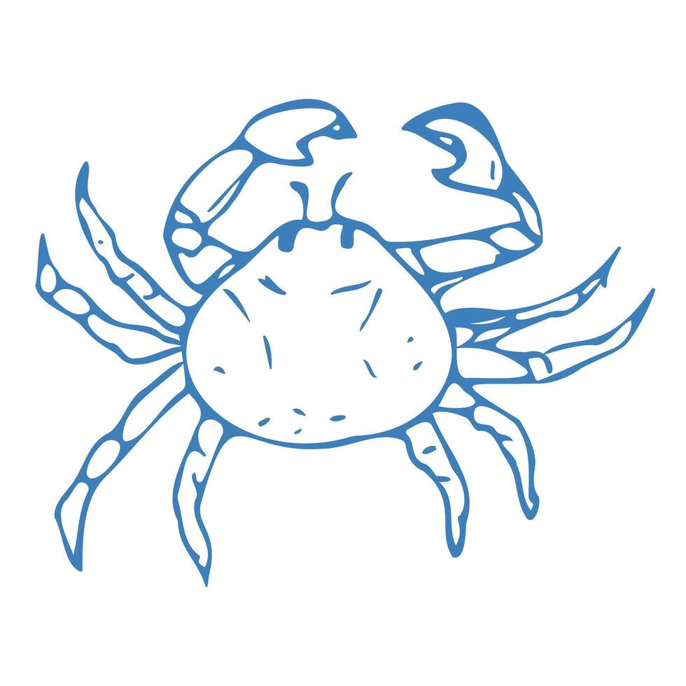 Hand drawn crab in doodle style. Mediterranean blue summer icon, element for italian menu, wedding, print, invitation. Ink sketch design of summer beach. Flat tropical minimalist illustration. vector