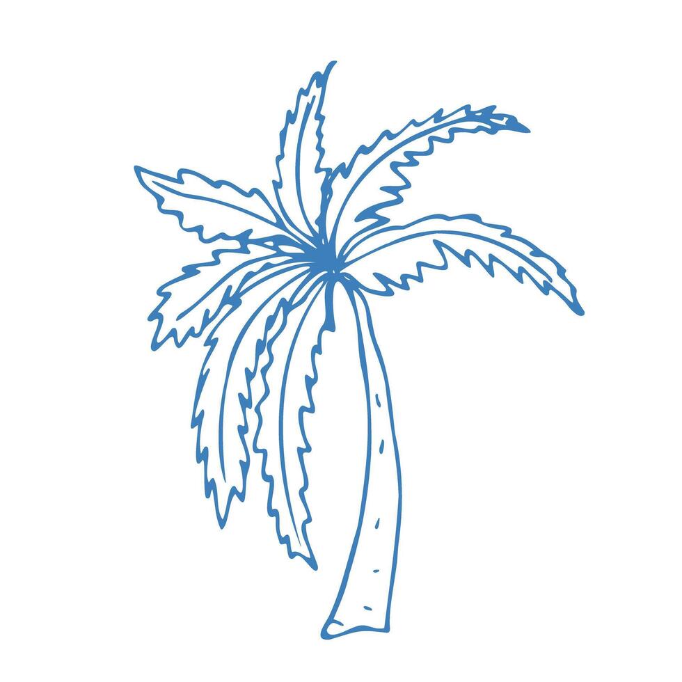 Hand drawn palm in doodle style. Mediterranean summer icon, element for italian menu, print, invitation. Ink sketch design of summer beach. Blue flat tropical minimalist isolated illustration. vector