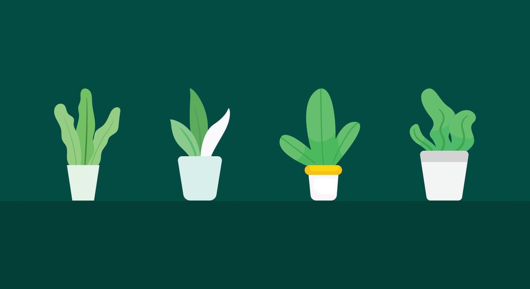 Set of houseplants in a pots for home, office, premises decor. Colorful collection of illustrations isolated on white background. Trendy home decor with plants vector