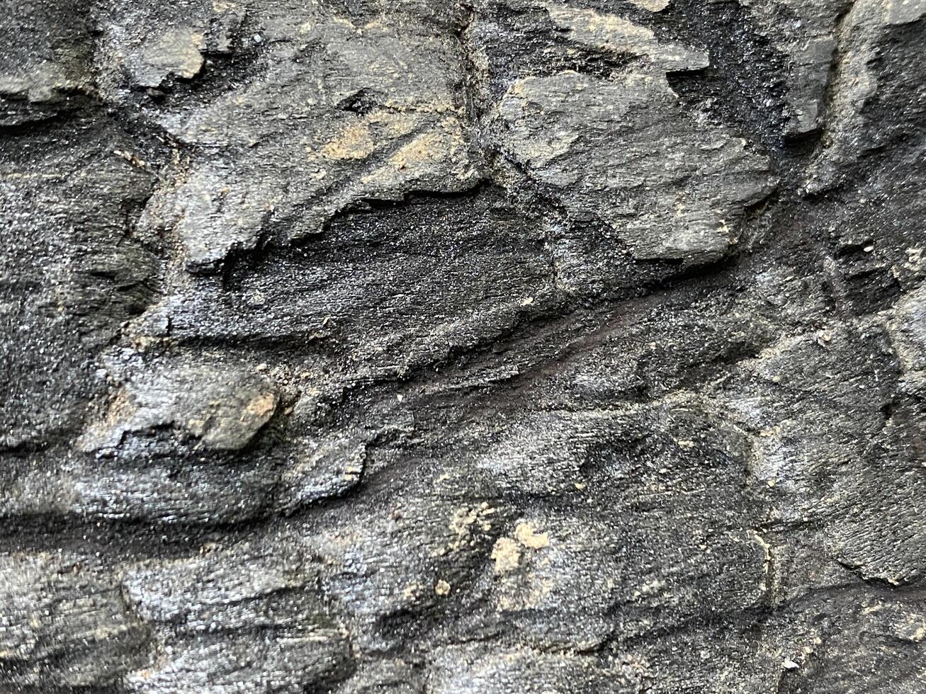 A close up of a rock wall with some rocks photo