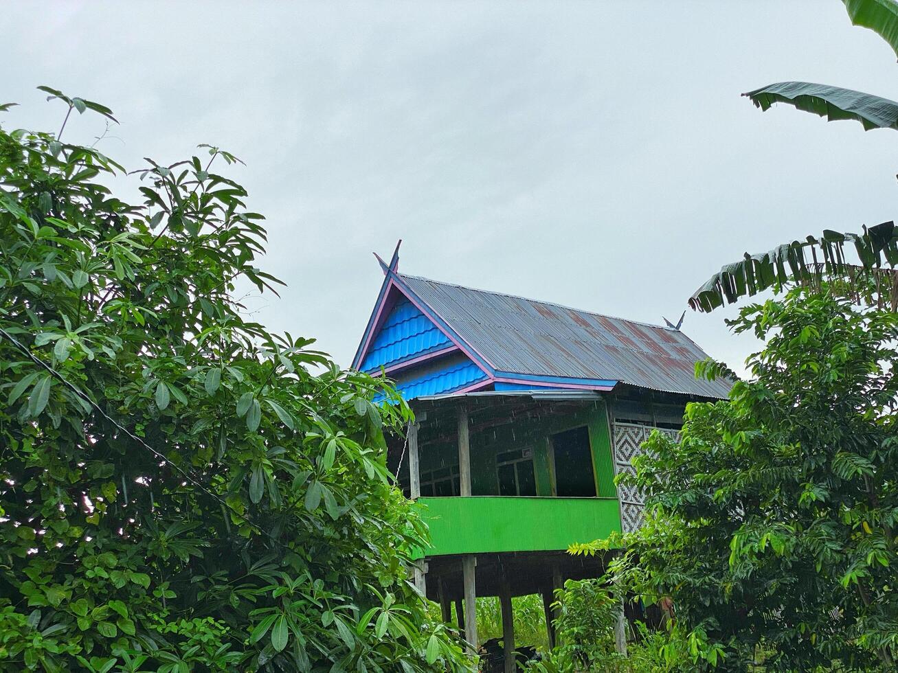 Elevated dwelling stands amidst lush foliage under a cloudy sky in a rural landscape. photo