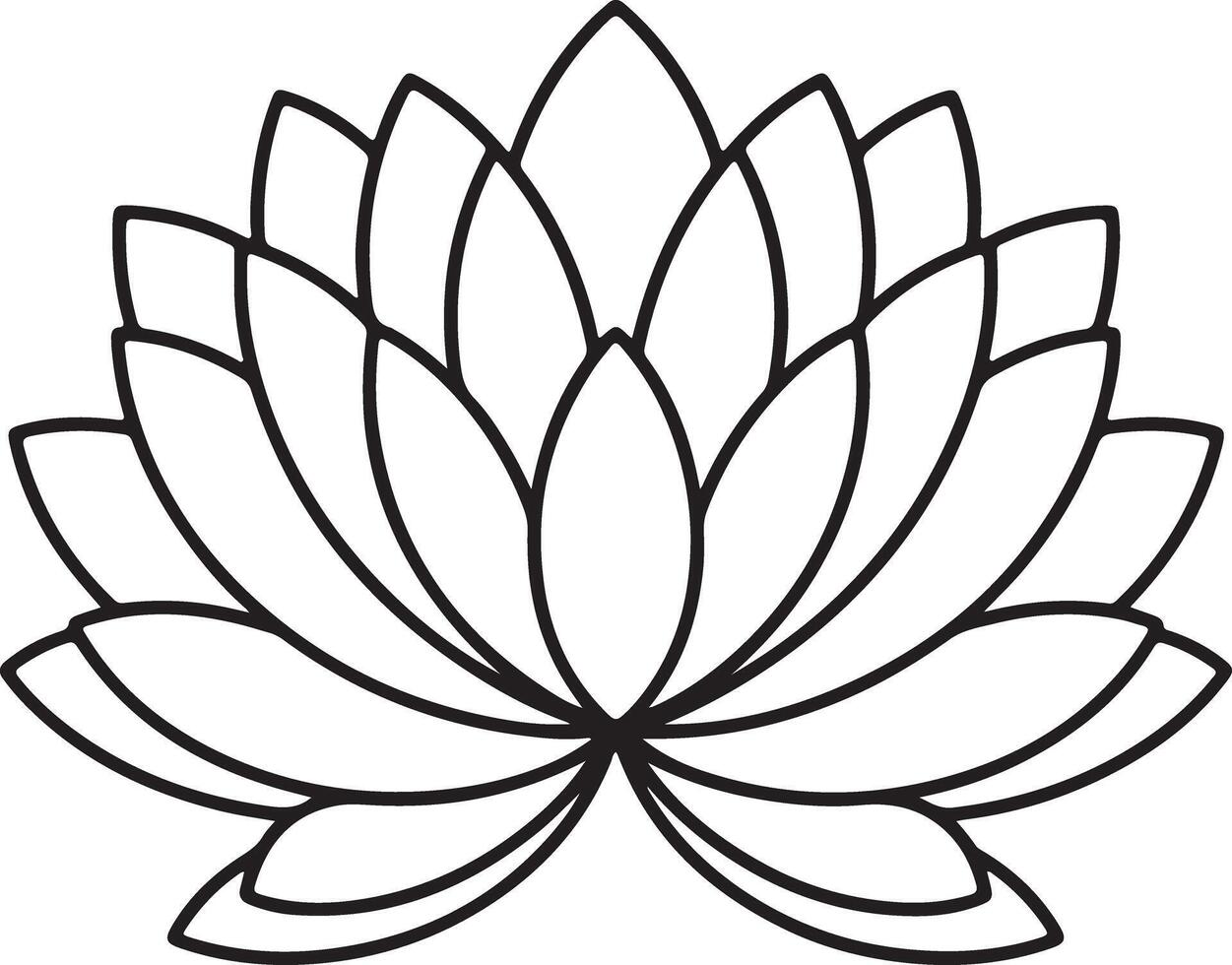 Lotus Flower Mandala Outline Drawing Floral Line Art vector