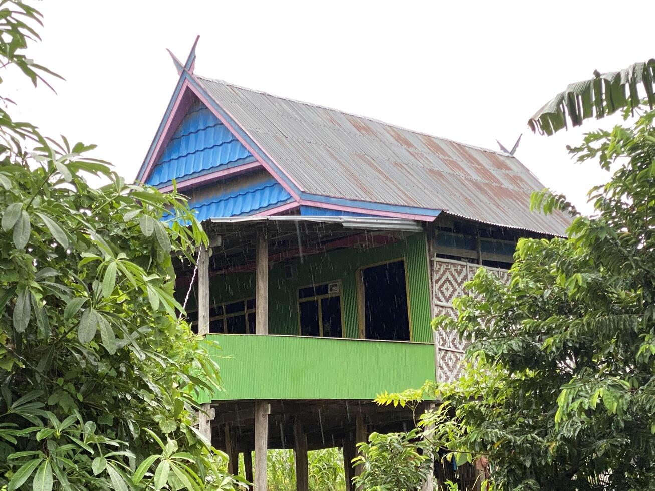 Traditional stilt house stands amidst lush green foliage during a tropical rain shower. photo