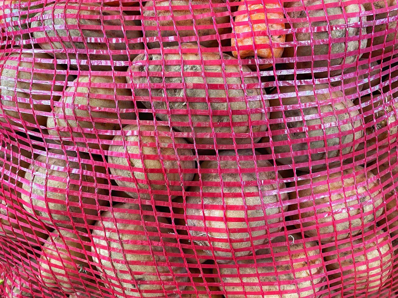 A basket full of potatoes and carrots photo