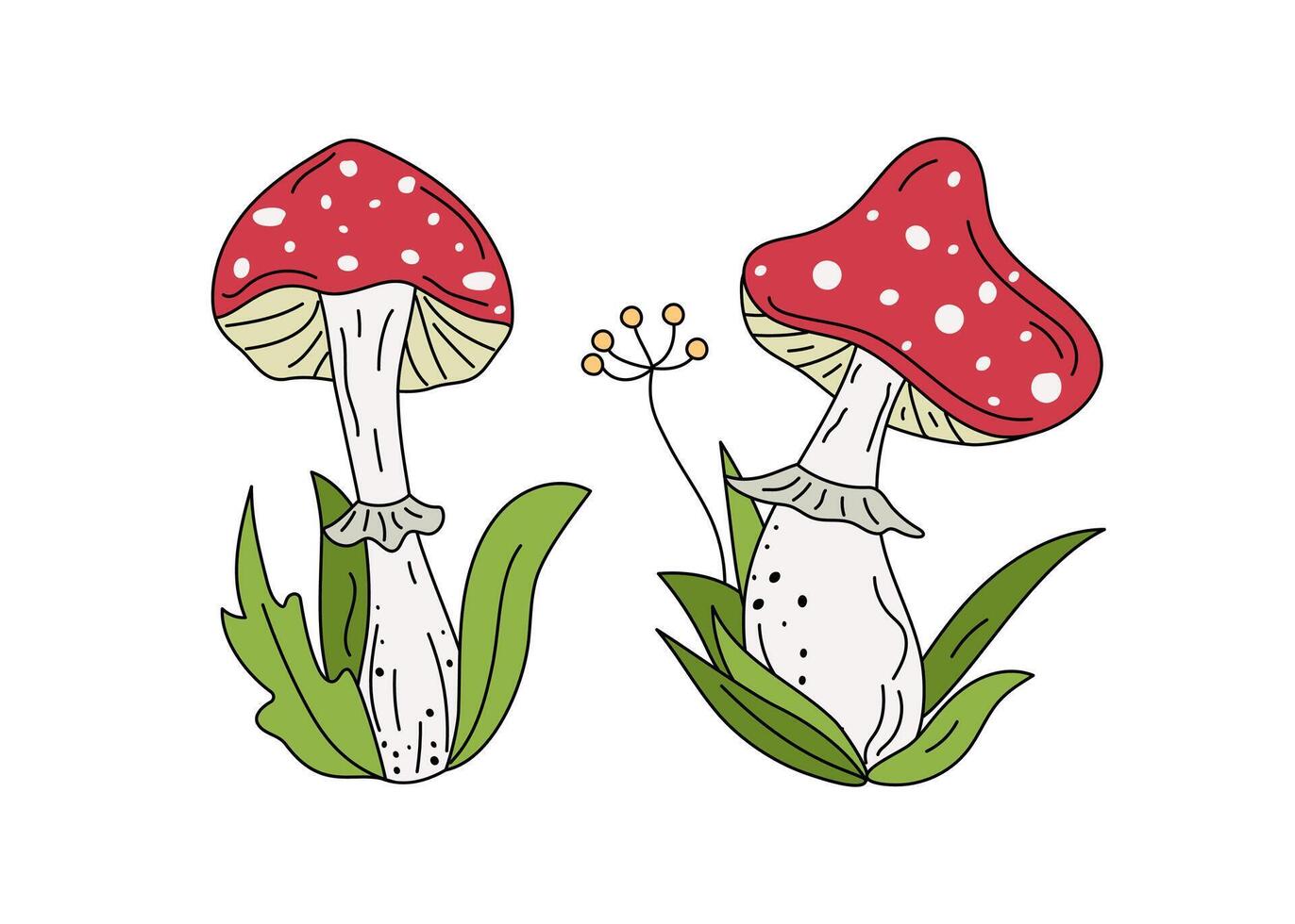 Amanita set, mushrooms, fly agaric, leaves. Set. Cartoon mushrooms. Hand drawn icons, doodle drawings, illustration. vector