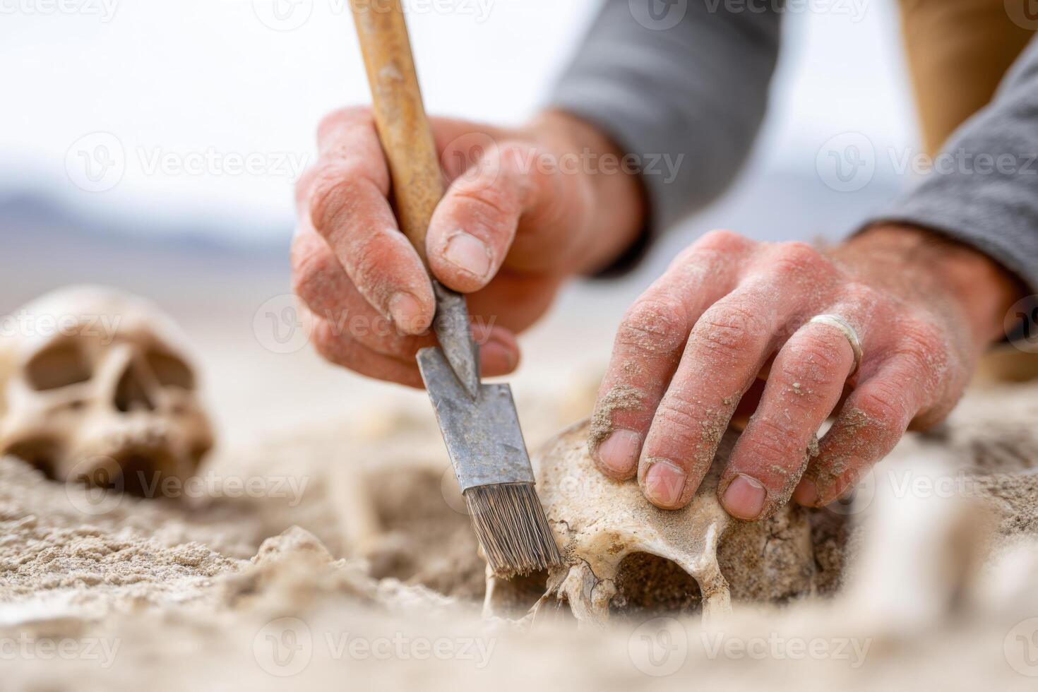 Archaeologist carefully excavating a human skull with a brush in a sandy environment, showcasing the delicate process of uncovering ancient remains and historical artifacts photo