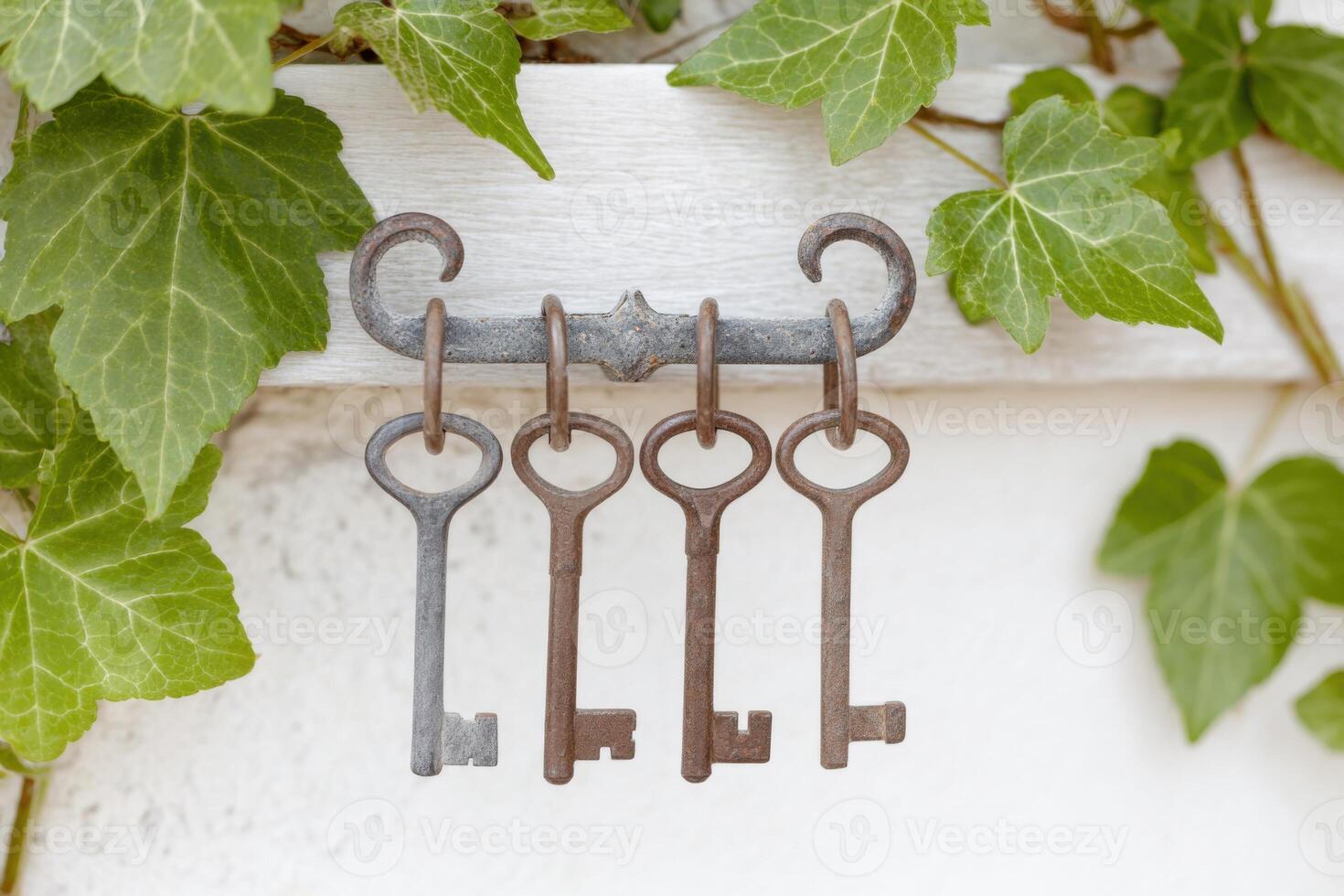 Vintage keys hanging on a decorative hook against a backdrop of lush green ivy leaves, creating a charming and rustic atmosphere for home decor enthusiasts photo