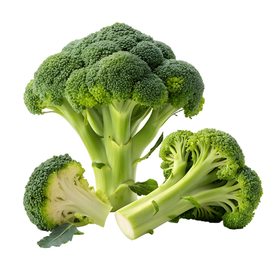 Fresh green broccoli florets and stems beautifully arranged on a transparent background showcase healthy raw vegetables png