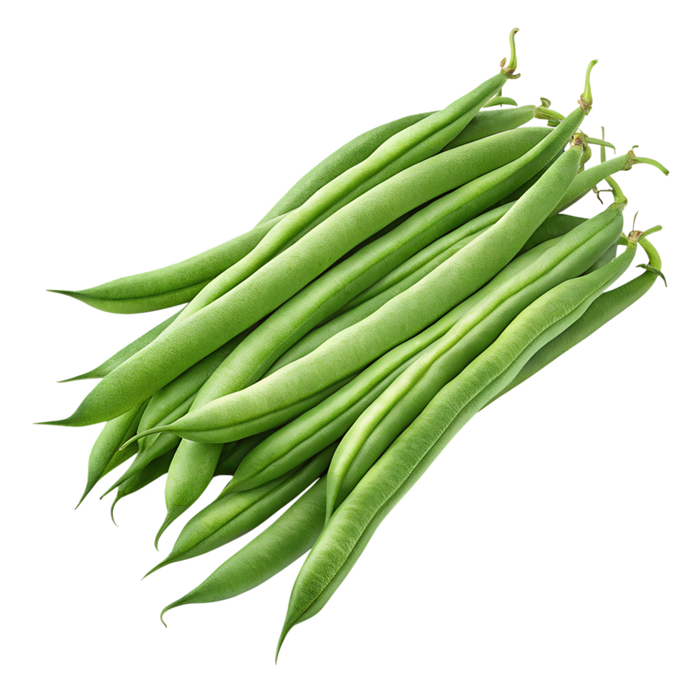 Fresh green beans arranged on a transparent background offer a vibrant culinary concept for healthy eating and vegetarian dishes. png