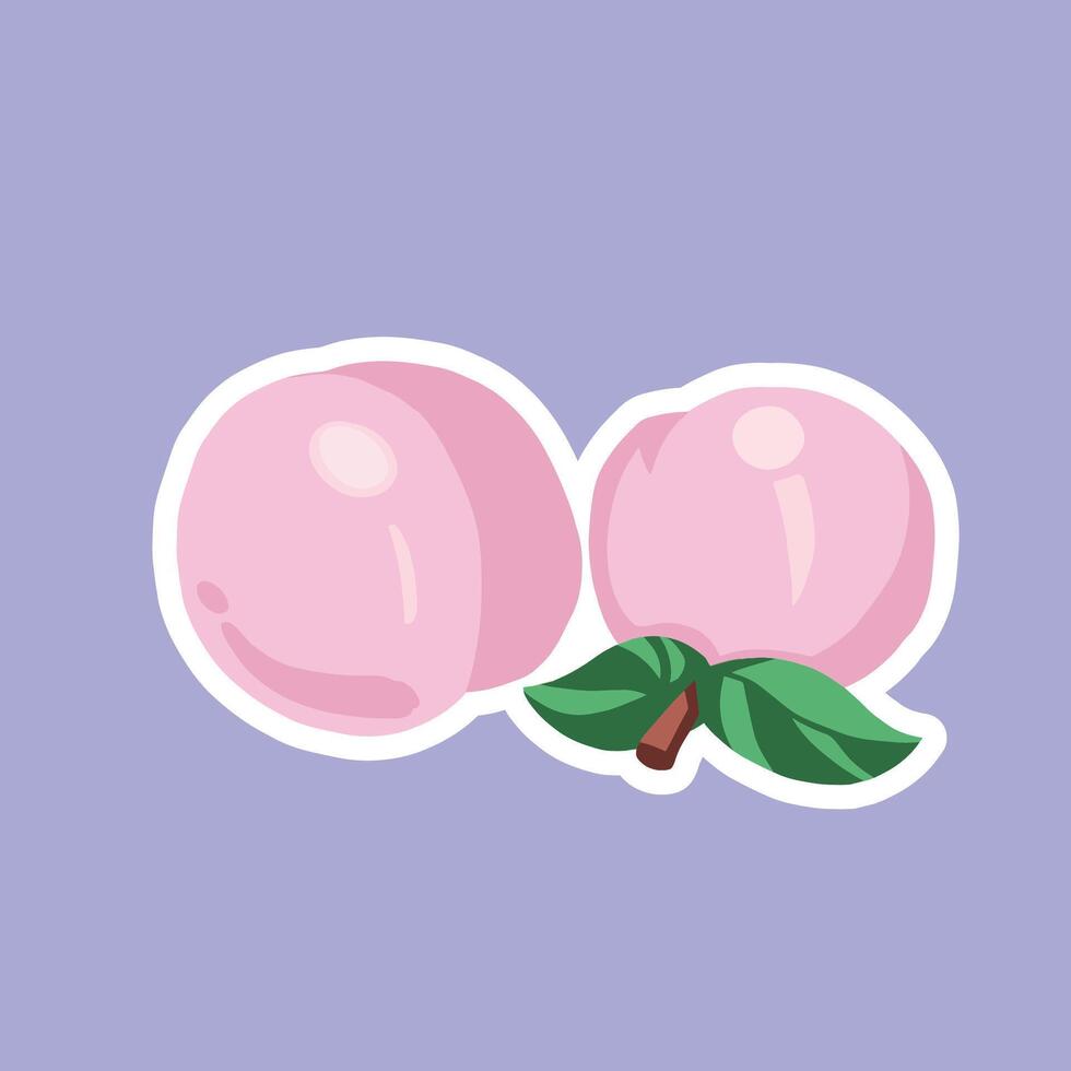 Spring Cute Peaches vector