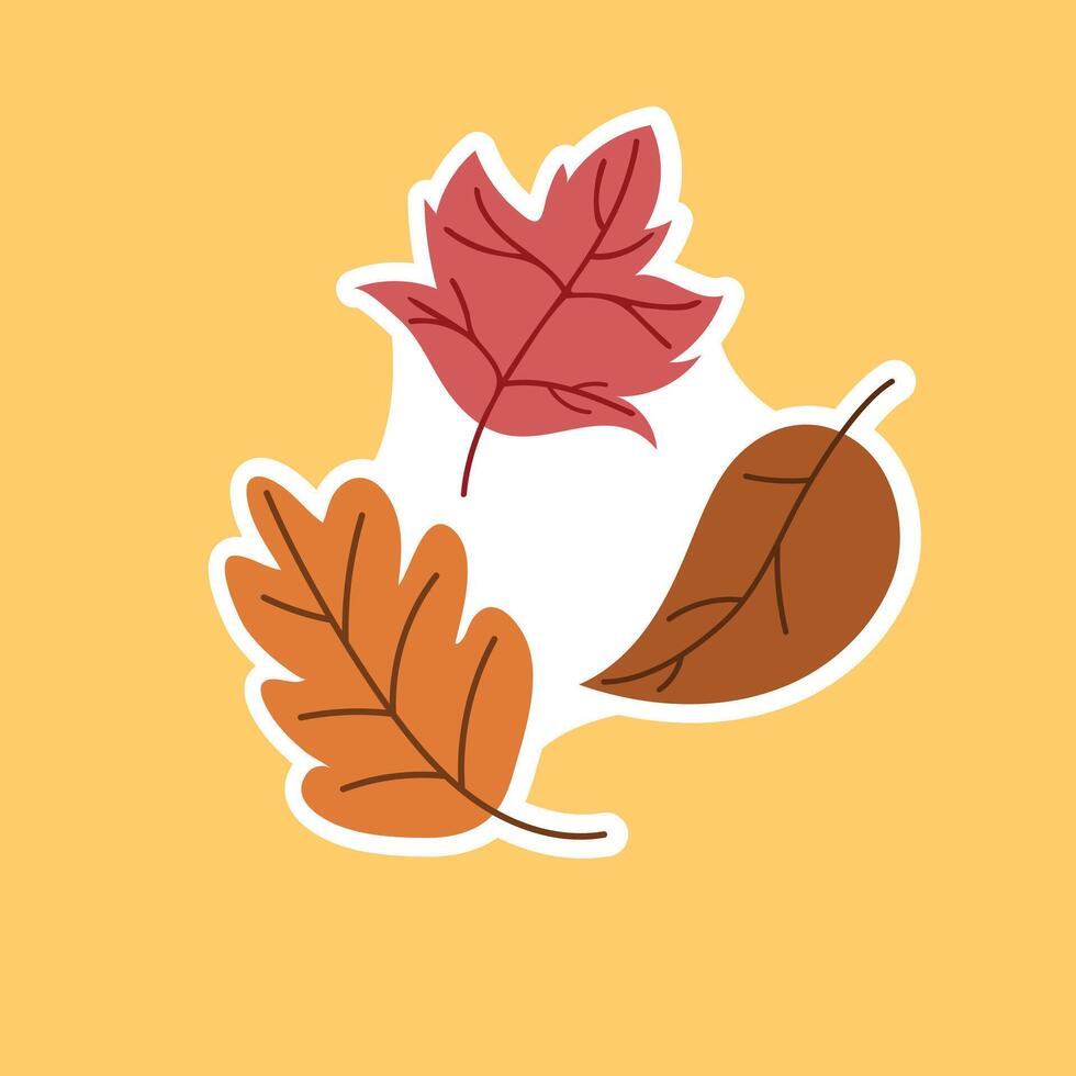 Autumn sets of leaves vector