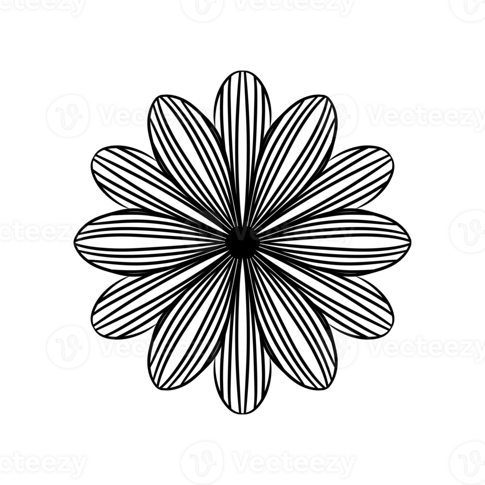 a black and white flower on a transparent background png