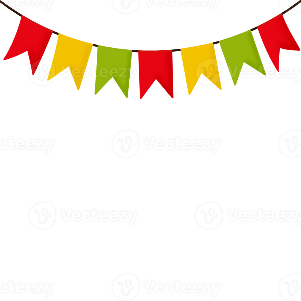 Birthday party ornament png