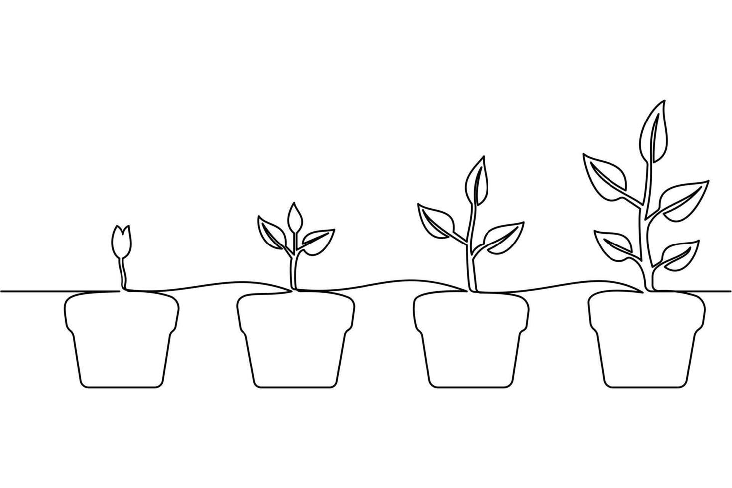 A line drawing of three plants in pots vector