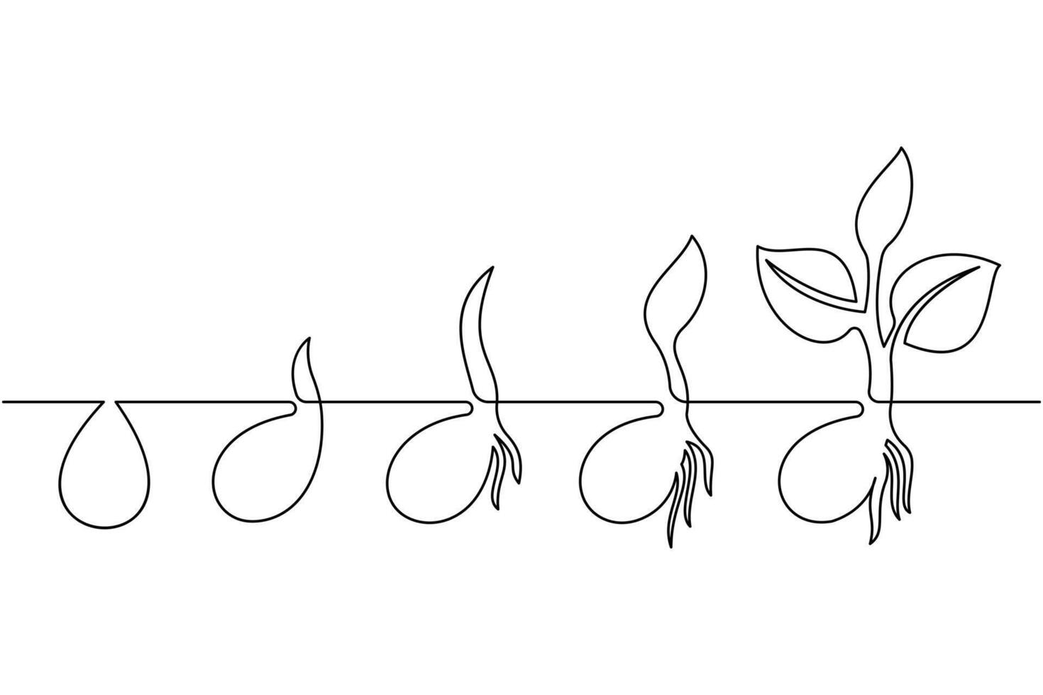 A drawing of a plant growing from a seed vector