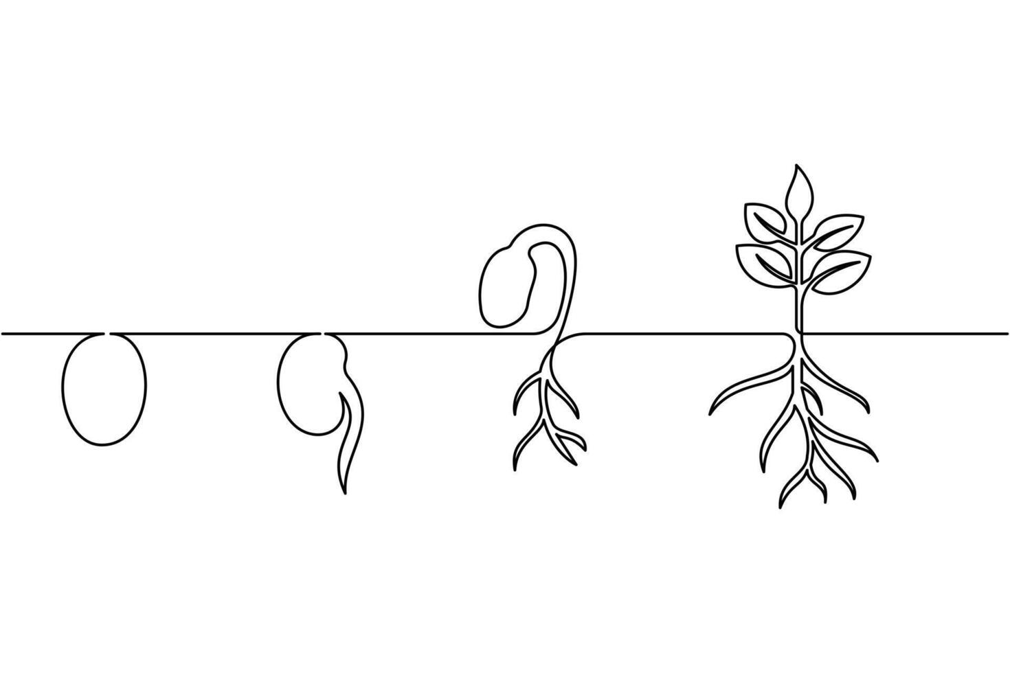 A line drawing of a plant with roots and leaves vector