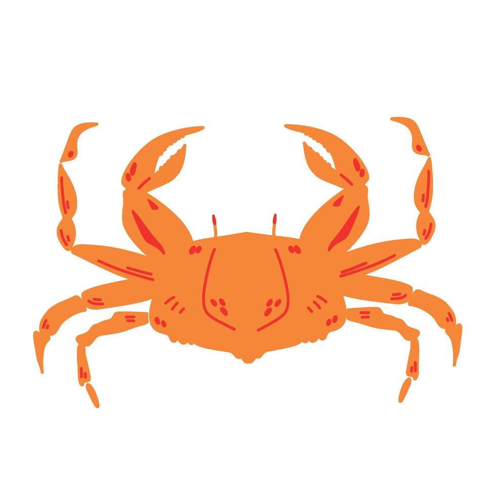 Red crab illustration isolated on white background. vector