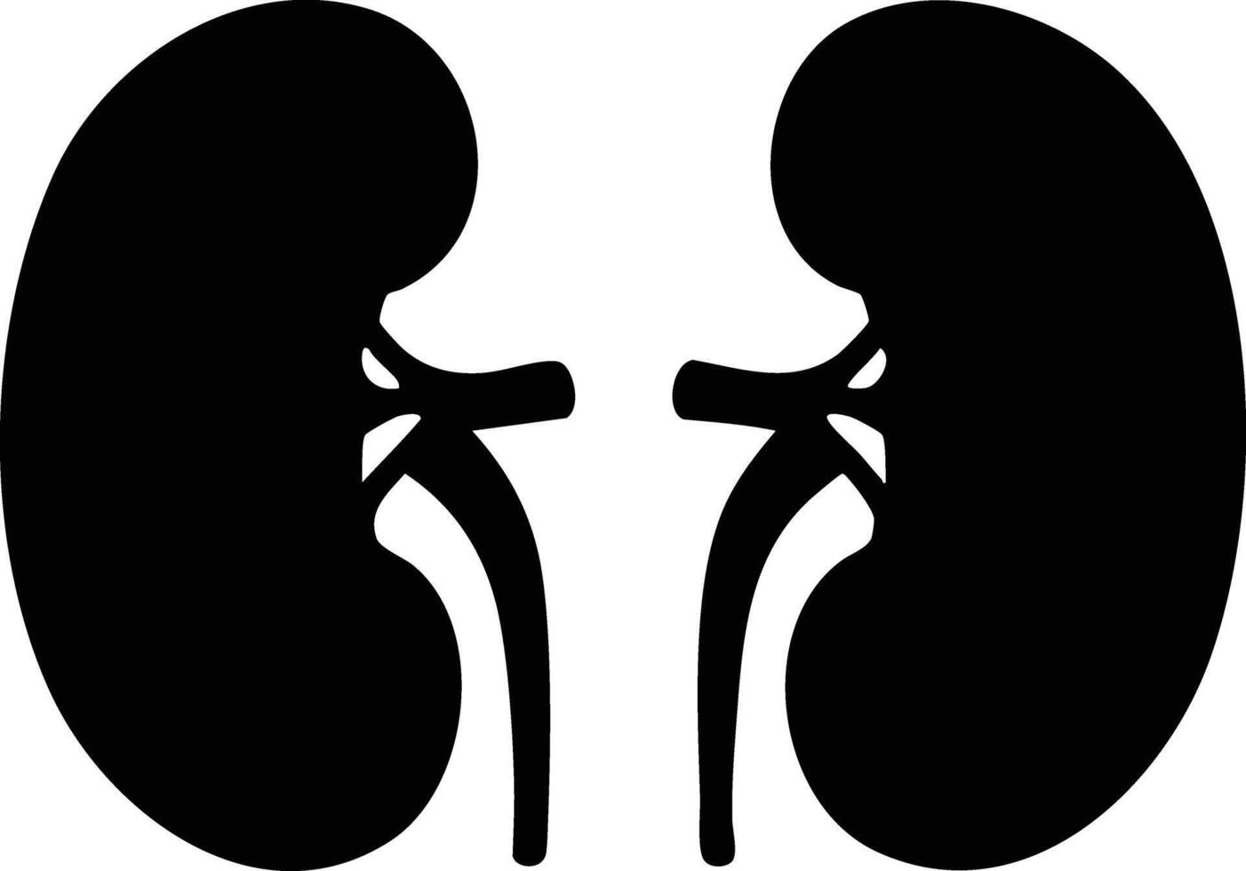 Kidney silhouette illustration showing human organ anatomy and urinary system health concept design vector