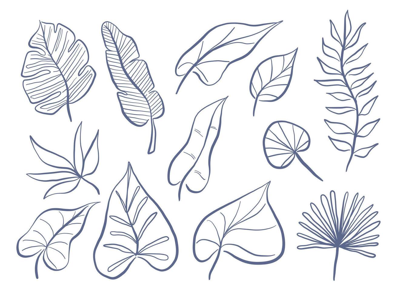 Line Art Botanical Leaf Collection. Aesthetic set of 12 tropical and organic leaf illustrations drawn in fine blue line art with diverse forms from heart shaped to palm fan perfect for nature visuals vector