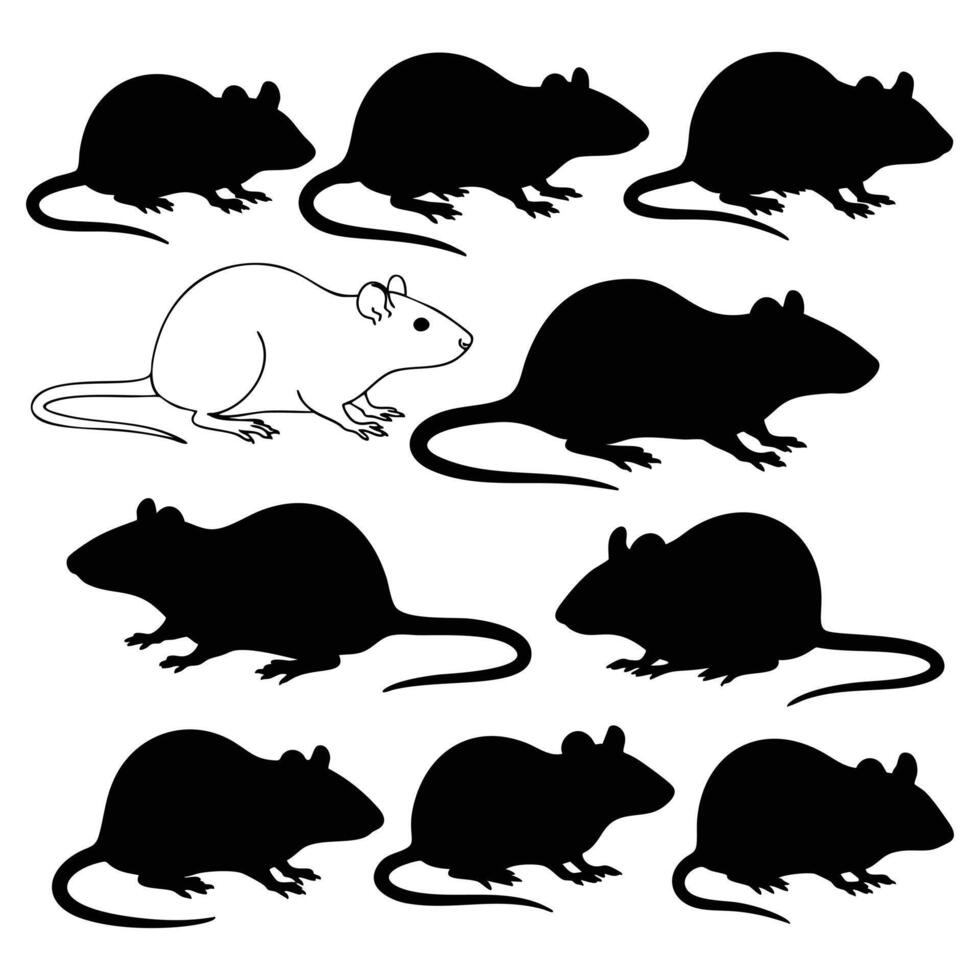 Rat Silhouettes Collection of Nine Detailed Rodent Illustrations - Perfect for Pest Control, Biology, or Art Projects vector