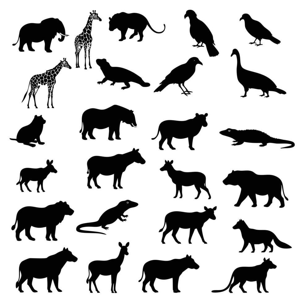 African Animal Silhouettes A Collection of 24 Wildlife Icons vector