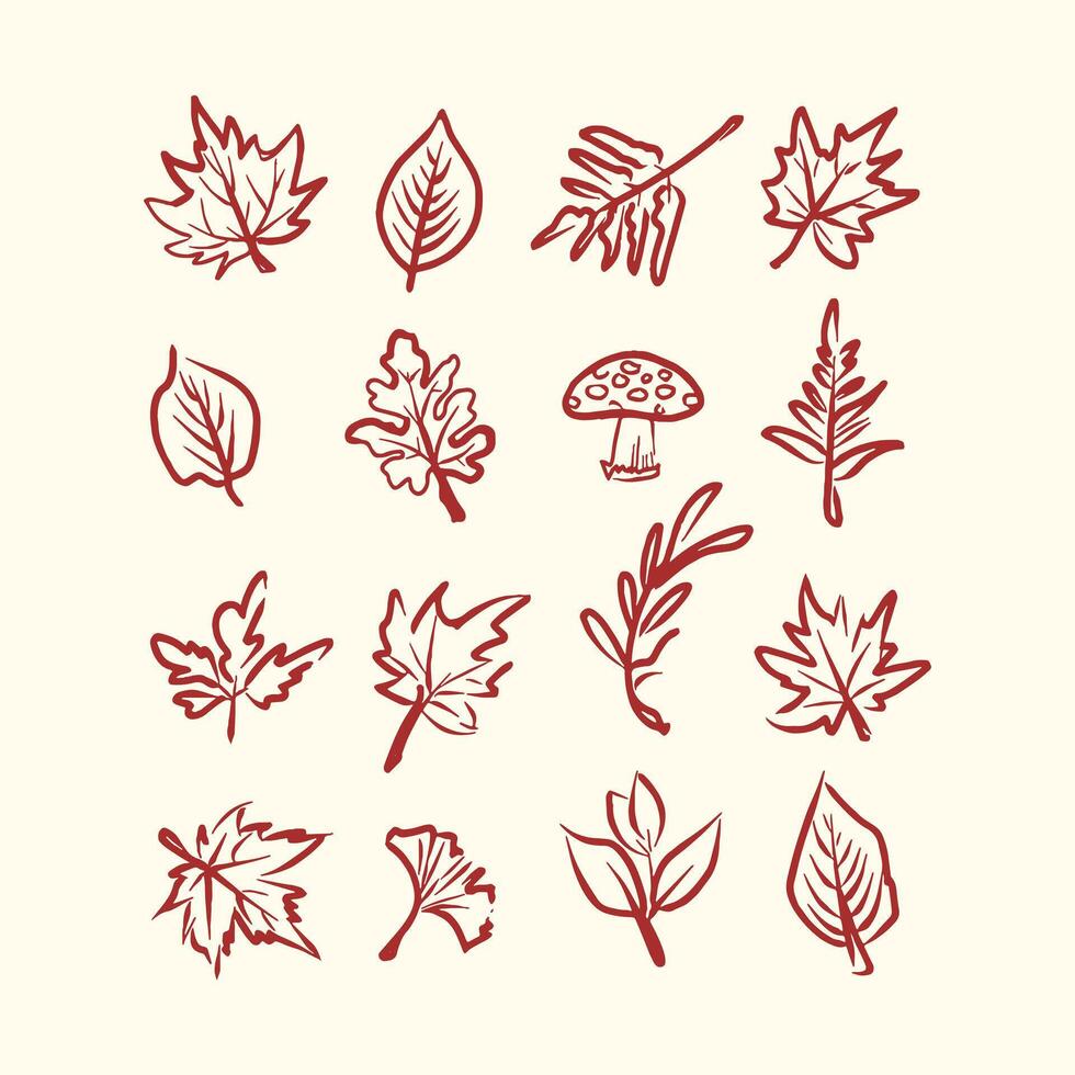 autumn leaves and mushroom Line Art Hand-drawn clipart Set in Minimalist color vector