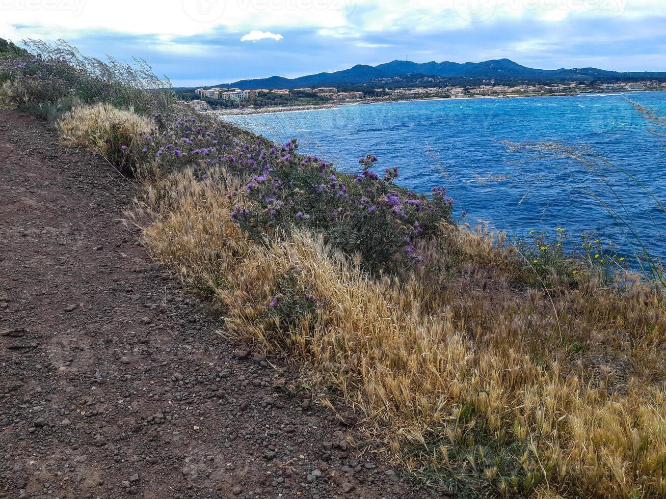 A dirt path next to the ocean photo