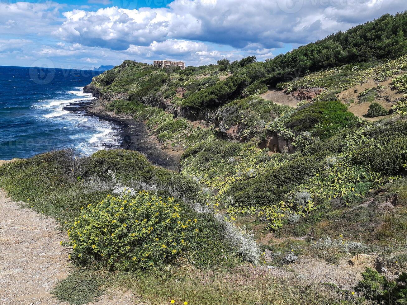 a path leading to the ocean photo
