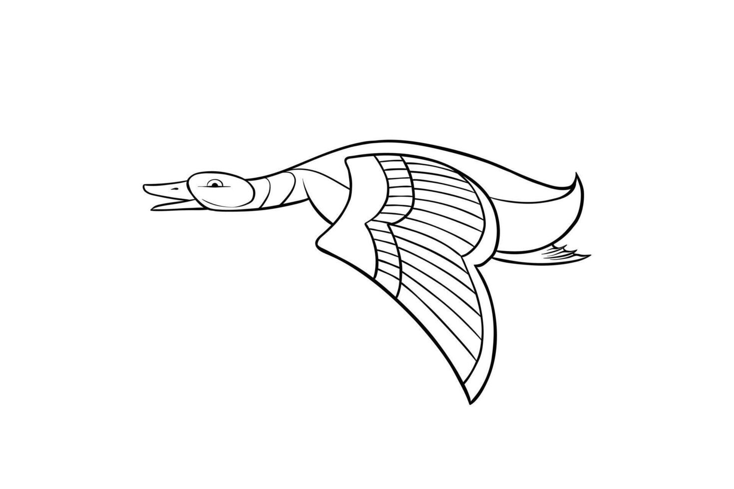 hand drawn mallard duck illustration lineart vector