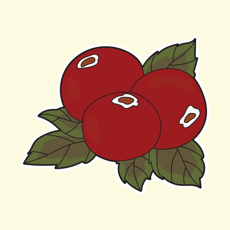 Cute hand drawn red berry with green leaves in cartoon style, perfect for autumn, harvest, thanksgiving, healthy food, vegan recipes, natural decorations, and seasonal design projects. vector