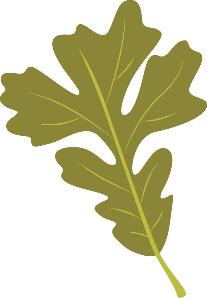Tropical Leaf Element with Flat Design, Isolated on White Background vector