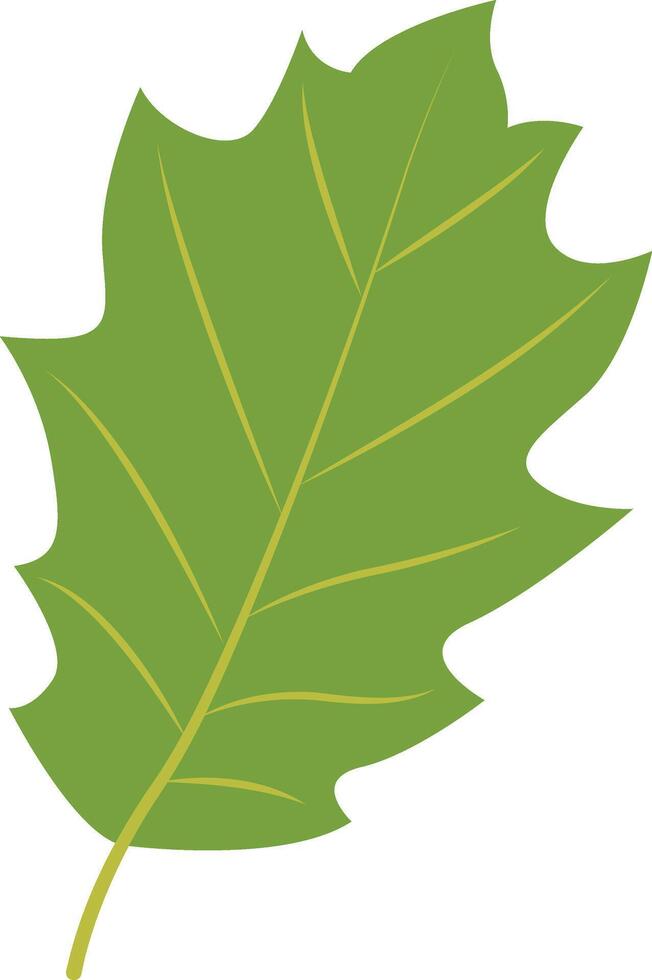 Tropical Leaf Element in Cartoon Design vector