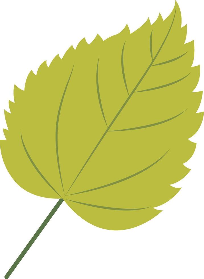 Tropical Leaf Element with Cartoon Design. Isolated on White Background vector