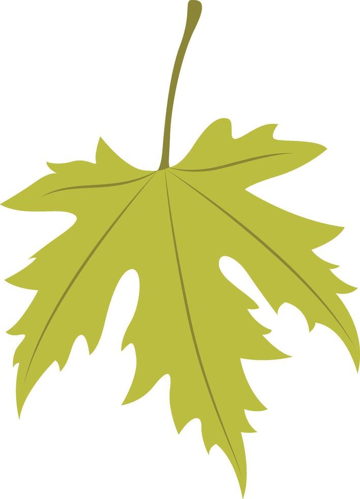 Tropical Leaf Element with Flat Design vector