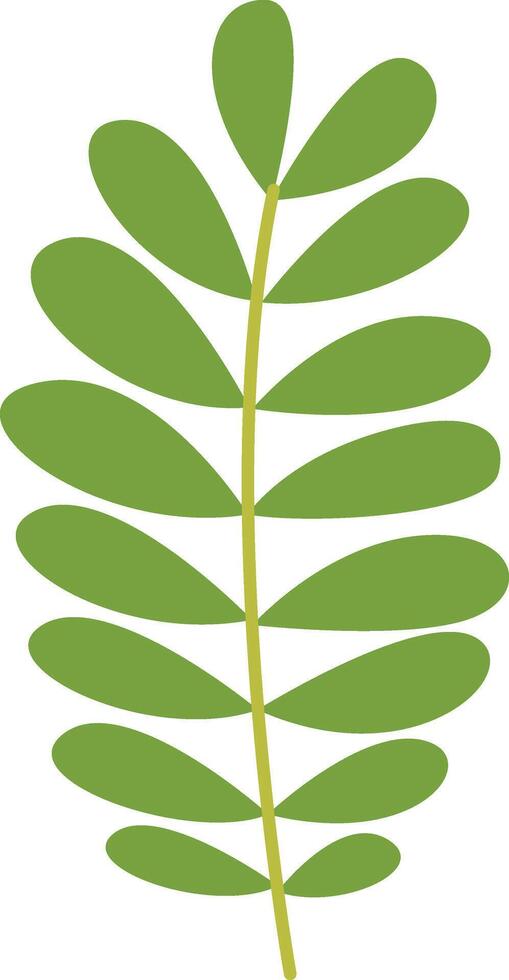 Tropical Leaf Element with Flat Design. Isolated on White Background vector
