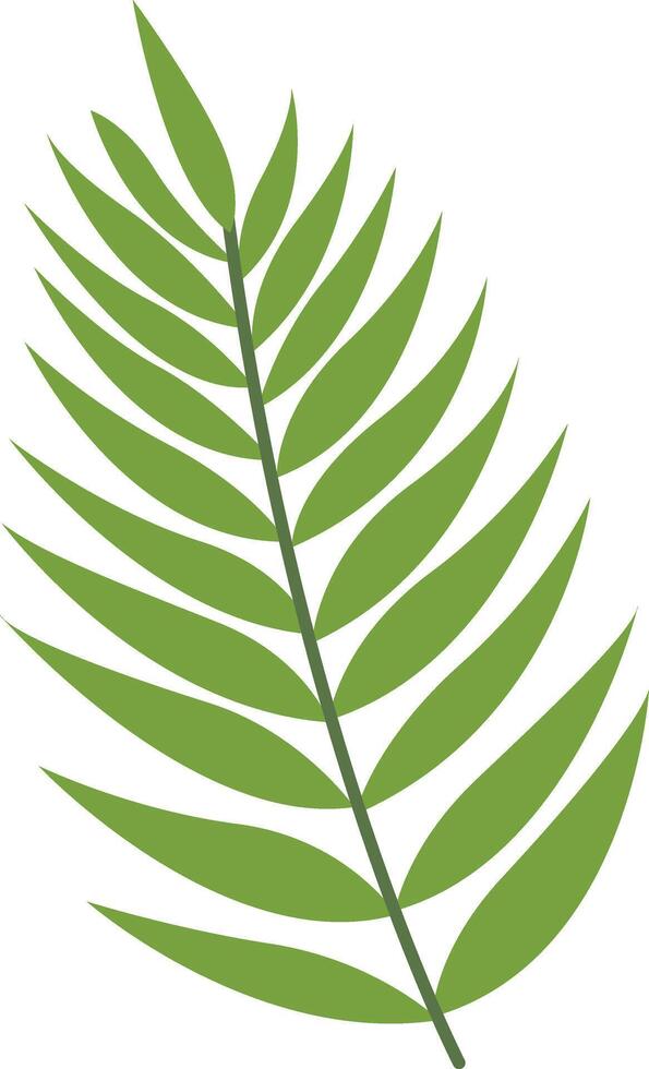 Tropical Leaf Element in Flat Design. Isolated on White Background. vector