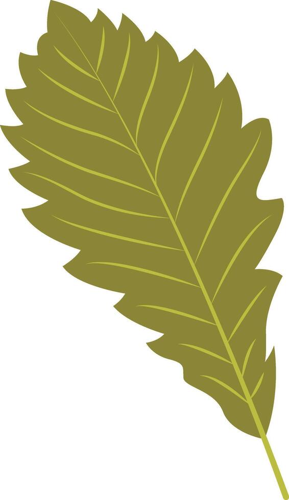 Tropical Leaf Element. Exotic Leaf Plant vector