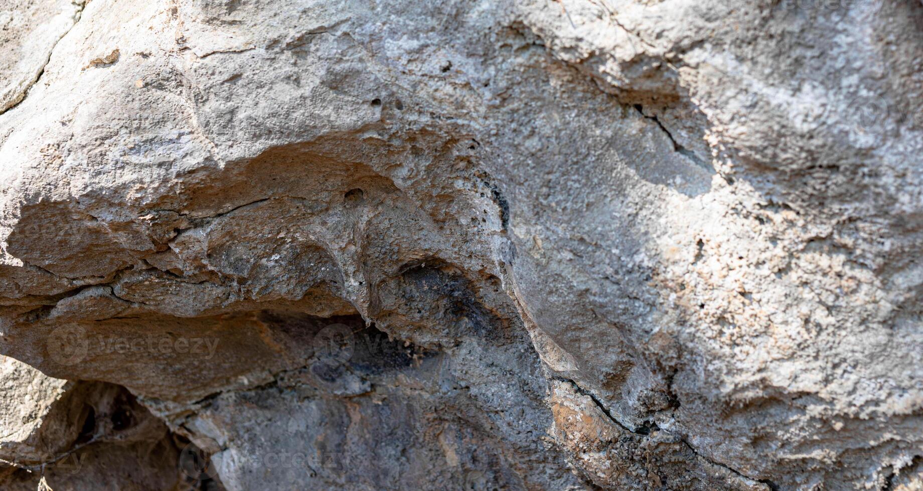 Close-up view of textured rock surface showcasing natural patterns and earthy tones in sunlight photo