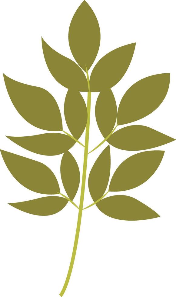 Tropical Leaf Element with Cartoon Design. vector