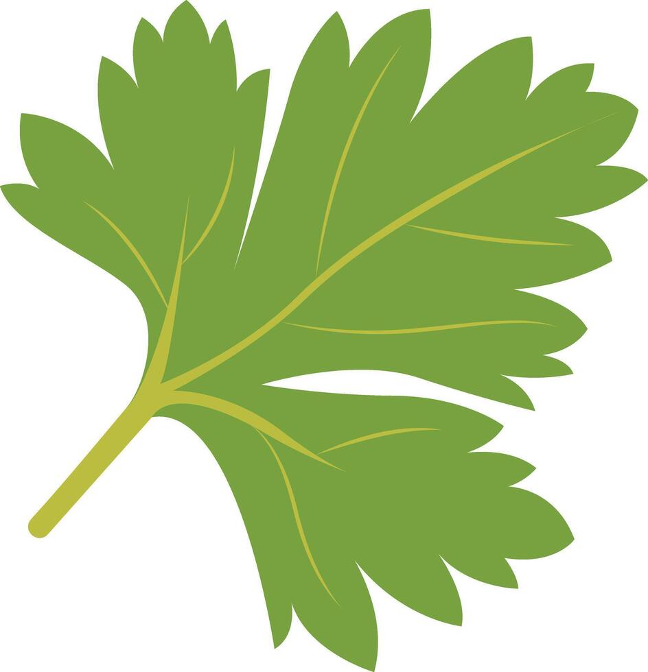 Tropical Leaf Element with Flat Cartoon Design. vector