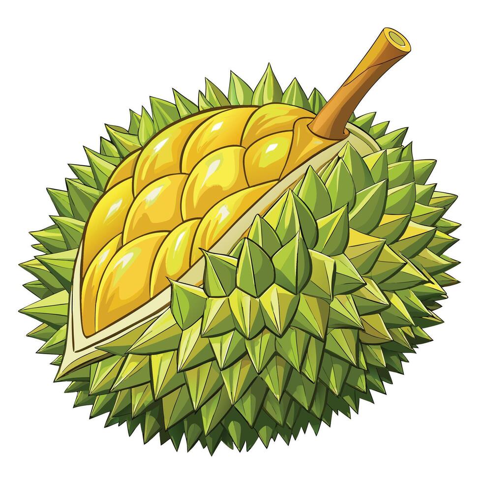 Durian with green skin, Thai fruit vector